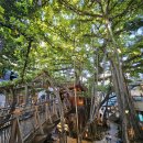 아이스마켓 이미지