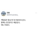 잘 가, 잘 가지 마 나의 22살