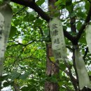 새덕산목장 이미지