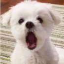 압구정고등학교 이미지