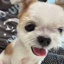 앵두 외박일기 7 🍒 이미지