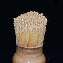 국립종자원 충북지원 이미지