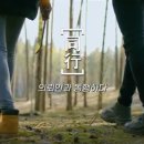 법무법인파라클레투스 이미지