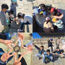 한국사지도강사 | 경복궁 궁궐체험 한국사 도슨트 서울 어린이 체험학습