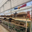 오진아 농촌치유농장 | 고양시 아이랑 가볼만한 곳 체험농장 치유농장 온유원 후기