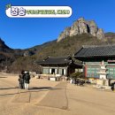 신안 청송막걸리 앞 | 경북 청송 주왕산 국립공원, 대전사 절, 봄에 가볼 만한 곳 사찰 투어