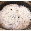 토박이돌솥밥