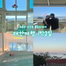 2026] 태안 1박2일 여행 | 안면도 숙소 실내풀빌라·오션뷰 글램핑을 동시에! | 길리풀빌라 내돈내산 후기
