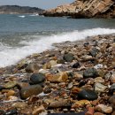 태안바다 이미지