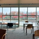 강서구-10 | 부산 통창 숲뷰가 멋진 | 히떼로스터리 강서점 | 이틀연속 방문한 이유 |