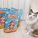 동면주민건강센터 화장실 | 고양이 화장실 청소 방법, 슈퍼 카사바 모래 교체 및 버리는 법