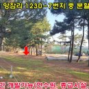 솔밭178 네이버블로그