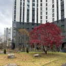 아이파크금빛공인중개사사무소 이미지