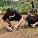 인천서구발달장애인평생교육센터 이미지