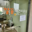 깔꼼 애견미용실 이미지