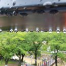 무주 오락 이미지