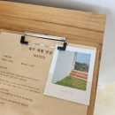 제주애월당귤 이미지