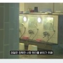 울릉해수목욕탕 이미지