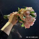 데이오프스튜디오