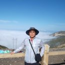 한걸음 행정사사무소 이미지