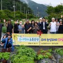 광주농장 전남매일