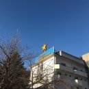 스타힐리조트 | [보드타다] 수도권 스키장 스타힐리조트 이용후기