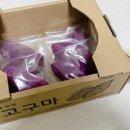 청춘마카롱 이미지