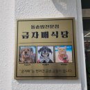 UR(제주시)-[용고로]-상-15 | 9-13. [제주 국내여행 9탄] 11편, 제주 현경 전복...정식 "금자매식당" 방문 후기 (feat. 금자매와 치치)