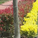 등불농장 이미지