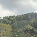 밭 이미지