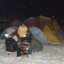 진우농장 이미지