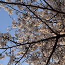 WR(서울특별시 강서구)-[마곡동로]-상-13 | 2025년 4월 일상 (상) - 그땐 그랬지 폭식나뇨, 신혼밥상, 코엑스 커피박람회, 뮤지컬 원스, 식음기록...