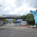 제주국제평화센터작은도서관 이미지