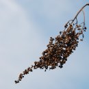 오금고등학교생태지도안 이미지