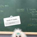 아이디인스트 이미지