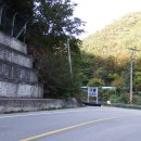 유격장 지나 이미지