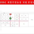 대전송림초등학교 이미지