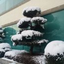 미수농장 이미지