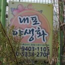 근실농장 이미지