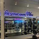 바디트랜스짐 은행점 헬스PT 이미지