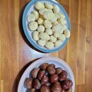 늘밤농원 이미지