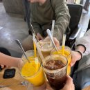 청성2목장 | 나트랑 양때목장 판랑 사막투어 후기!