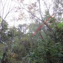 상천리-1 이미지