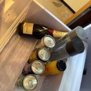 뽑고 더블로 가 | 롯데호텔 서울 이그제큐티브타워 그랜드디럭스 더블룸 후기 (롯데임직원 프로모션)