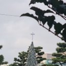 신서귀포 이미지