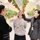 서준석농장 이미지