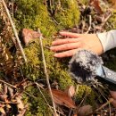 (주)세일헬스케어 이미지