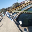 임진강리조트(주) 네이버블로그