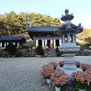 보석사   은행나무 이미지