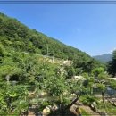 오도산펜션 이미지